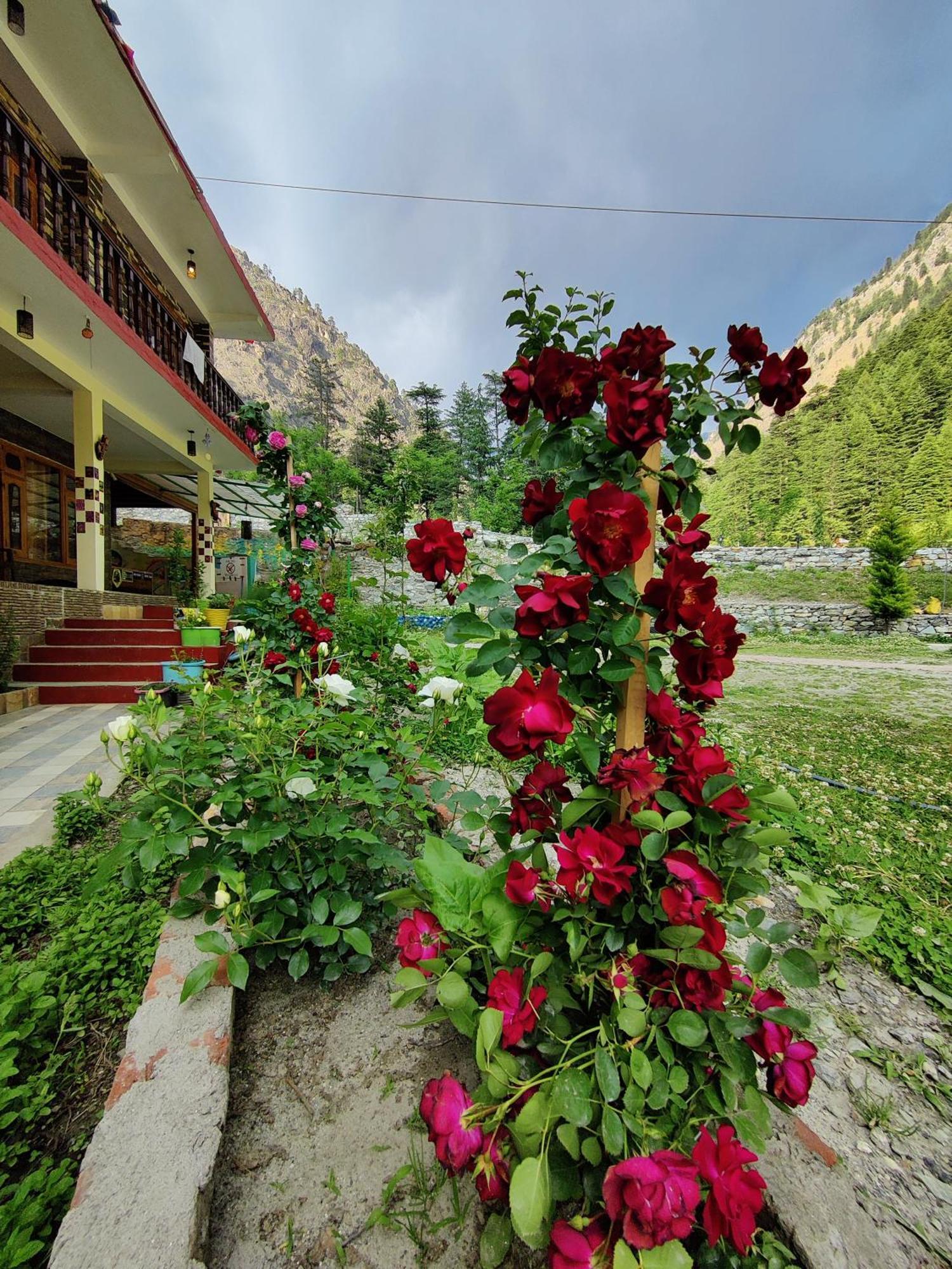 Flipsyde Retreat Hotel Kasol Exterior foto